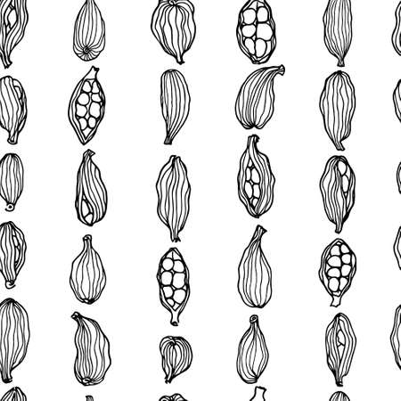 Cardamom seeds patternのイラスト素材
