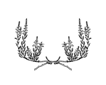 Hand drawn heatherのイラスト素材