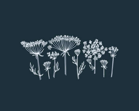 Hand drawn wildflowerのイラスト素材