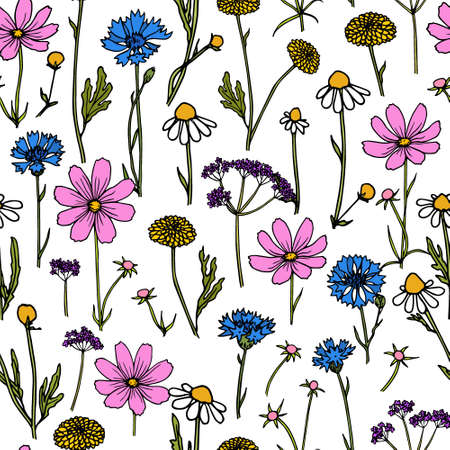 Hand drawn wildflower patternのイラスト素材