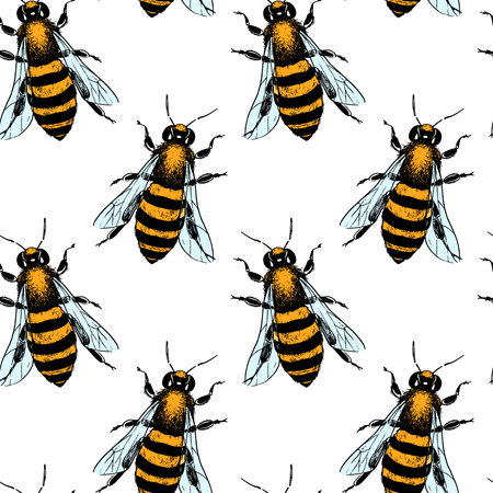 Bee seamless patternの写真素材