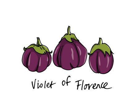 Hand drawn eggplantsの写真素材