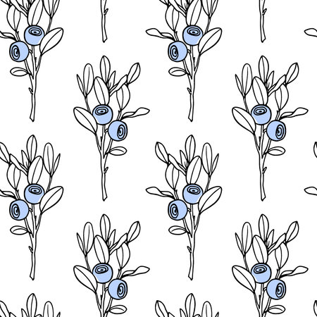 Hand drawn blueberry patternのイラスト素材