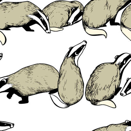 Hand drawn badgers patternのイラスト素材