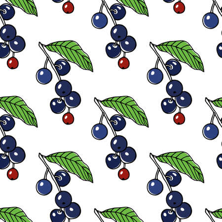 Hand drawn bird cherry patternのイラスト素材