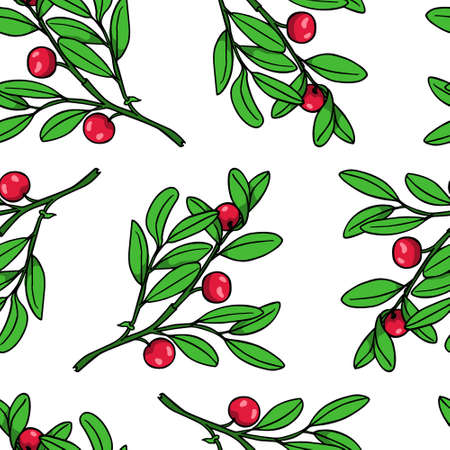 Hand drawn cranberry patternのイラスト素材