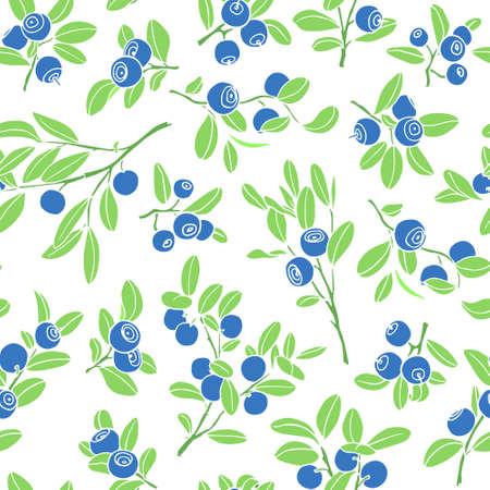 Hand drawn blueberry patternのイラスト素材