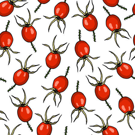 Dog rose patternのイラスト素材