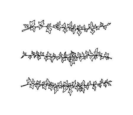 Beautiful floral design elementsのイラスト素材