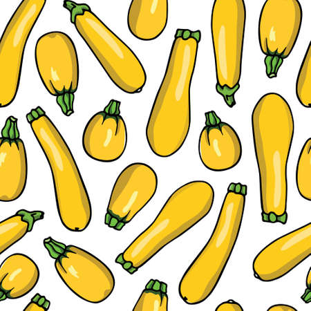 Hand drawn yellow zucchini varietiesのイラスト素材