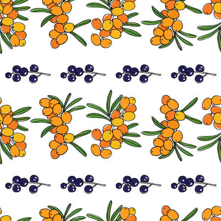 Vector seamless pattern with hand drawn sea buckthorn and bird cherry twigs. Beautiful food design elements, ink drawingのイラスト素材