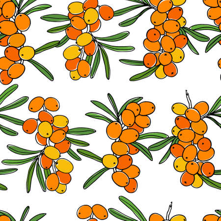 Vector seamless pattern with hand drawn sea buckthorn twig. Beautiful food design elements, ink drawingのイラスト素材
