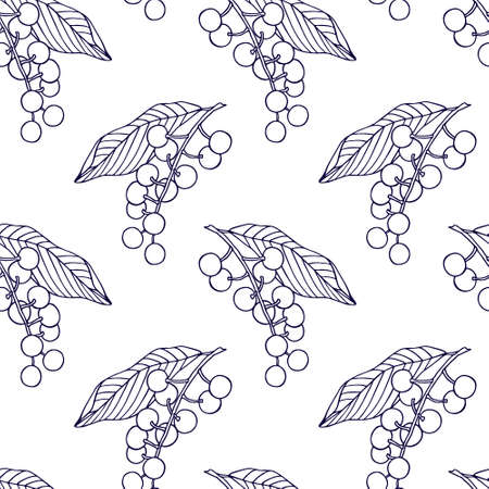 Hand drawn bird cherry patternの写真素材