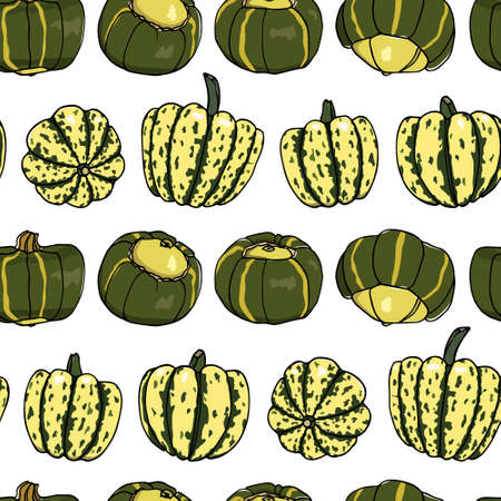 Vector seamless pattern with  hand drawn buttercup and carnival squash. Ink drawing, beautiful vegetarian design elements.のイラスト素材