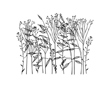Hand drawn meadow grassのイラスト素材