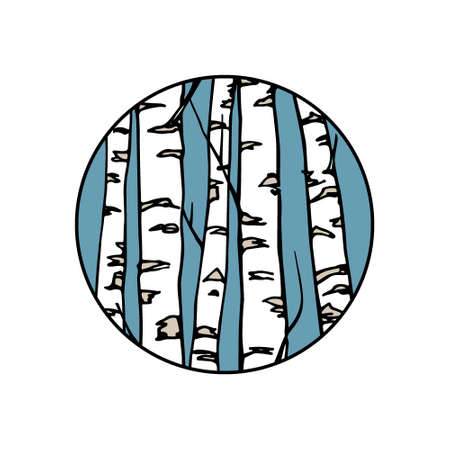Vector illustration of hand drawn birch tree trunks. Ink drawing, graphic style. Beautiful floral design elements.のイラスト素材