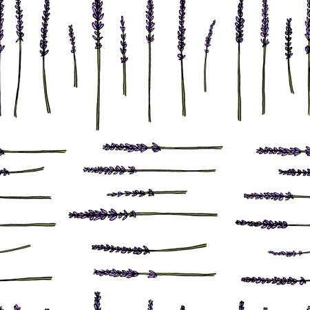 Vector seamless pattern with hand drawn lavender twigs. Delicate and romantic floral design elements.のイラスト素材