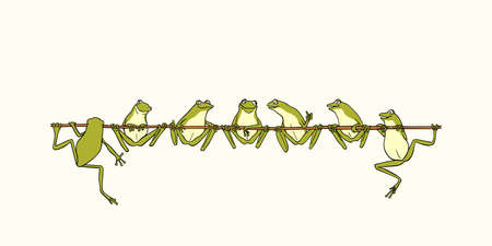 Hand drawn frogs vector illustrationのイラスト素材