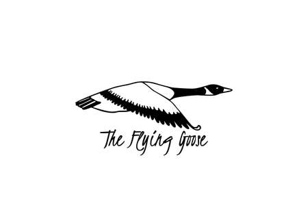 Hand drawn wild gooseのイラスト素材