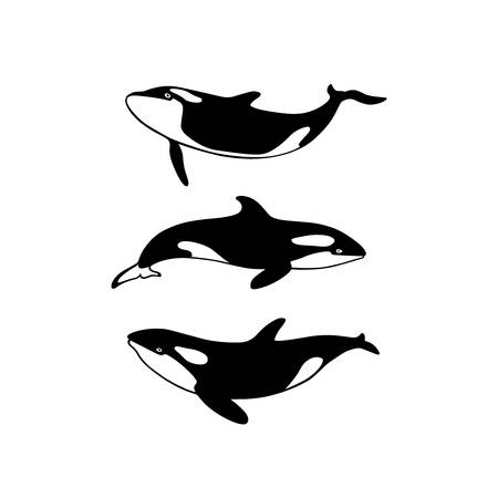 Hand drawn killer whalesのイラスト素材