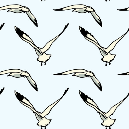 Hand drawn seagulls patternのイラスト素材