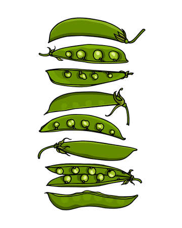 Hand drawn peaのイラスト素材