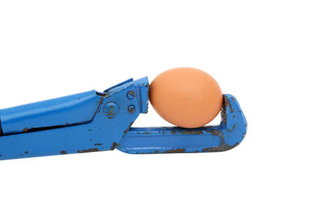 A fragile egg is a pinch-off in a heavy, powerful pipe wrenchの写真素材