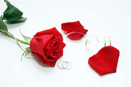 Photo of a rose and wedding rings on a white background.の写真素材