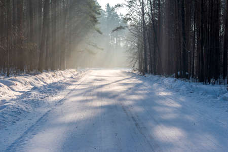Road covered with snow at winter morning in the forest.の写真素材