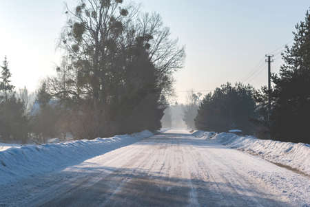 Snowy rural road in sunny cold winter morning.の写真素材