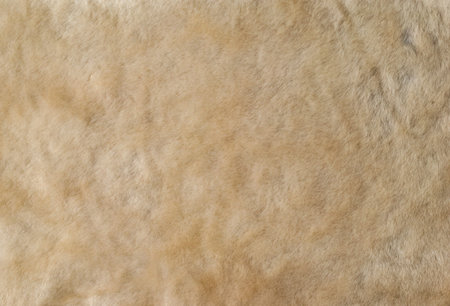 Light brown fluffy fur animal wool skin texture.