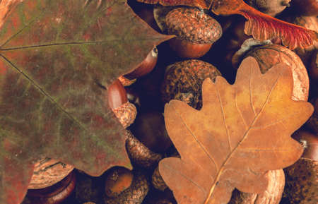 Beautiful sunny day sky with white clouds.の写真素材