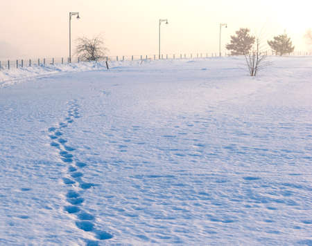 Cold winter morning at the public park near the frozen river.の写真素材