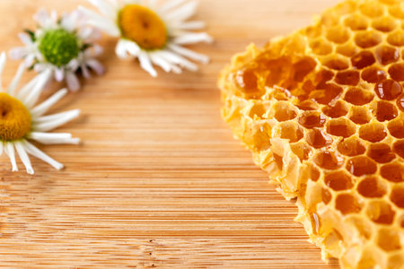 Honeycomb full of fresh honey on wooden background with wild Camila flowers.