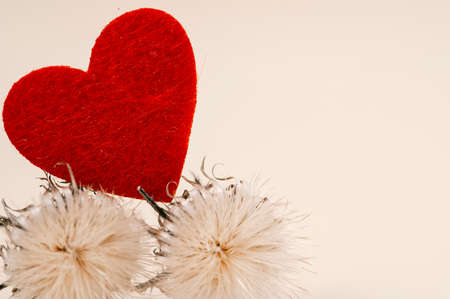 Close up of red fabric heart on two dried spiny flowers.の写真素材