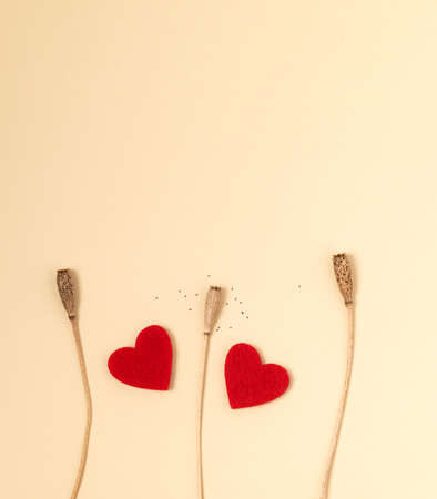 Top view of vertical greetings card for Valentines day with red fabric hearts shapes and dried poppy's flowers on the yellow paper.の写真素材