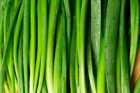 Fresh green spring onions stems on wooden board.