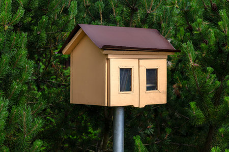 Free book sharing yellowcolored mini house between pine trees.