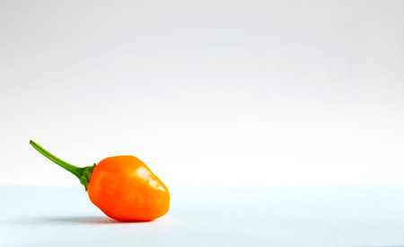 View from side of orange color hot chili pepper on white background.