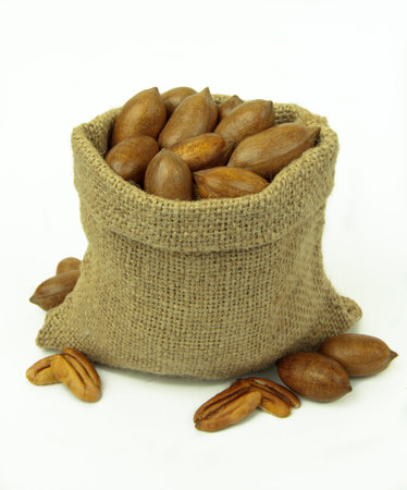 Pecan nuts in linen sack isolated on white background.