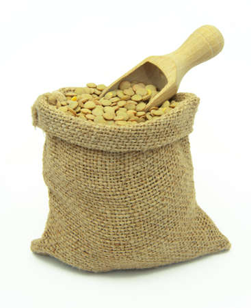 Green lentil in linen sack isolated on white backround.の写真素材