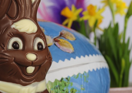 Easter bunnyの写真素材