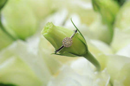 Engagement ringのeditorial素材