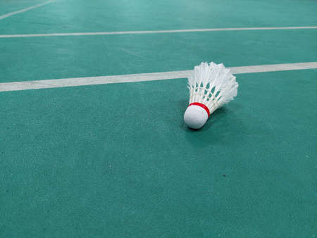 Close shuttlecock, net, and racket on badminton courtの写真素材