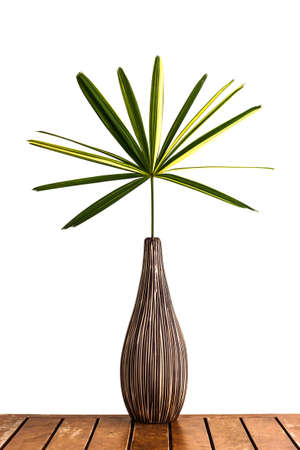 Decoration - Lady Palm Leaf in a handicraft ceramic Vase on old tableの写真素材