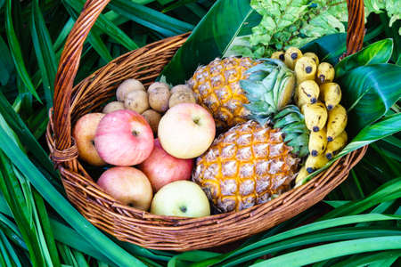 Fresh fruits in a basketの写真素材