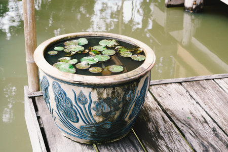 Atique Lotus Basin near the pondの写真素材