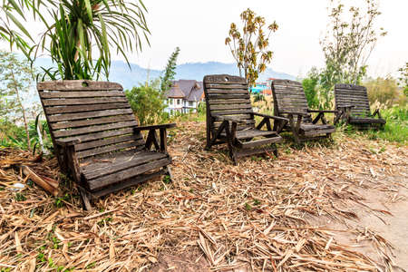 Old wood chairs in forest gardenの写真素材