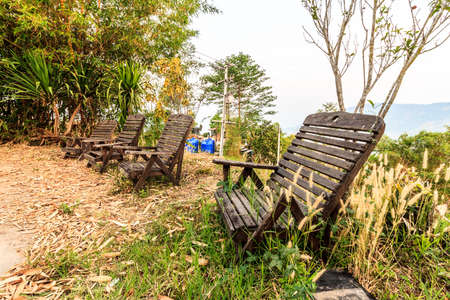 Old wood chairs in forest gardenの写真素材
