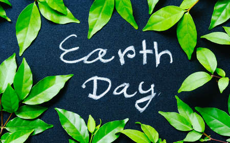 earth day concept, earth day word writing on chalkboard with nature green leavesの写真素材
